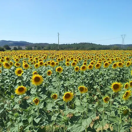 Bed & Breakfast Il Giardino Dieci Monteriggioni