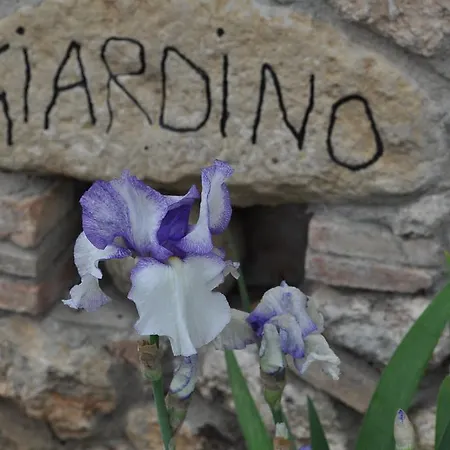 Il Giardino Dieci Bed & Breakfast *